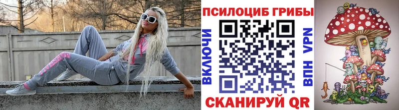 Купить где  Северская  Псилоцибиновые грибы мухоморы 